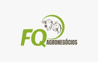 whatsapp image 2026 01 17 at 17.45.45 (1)